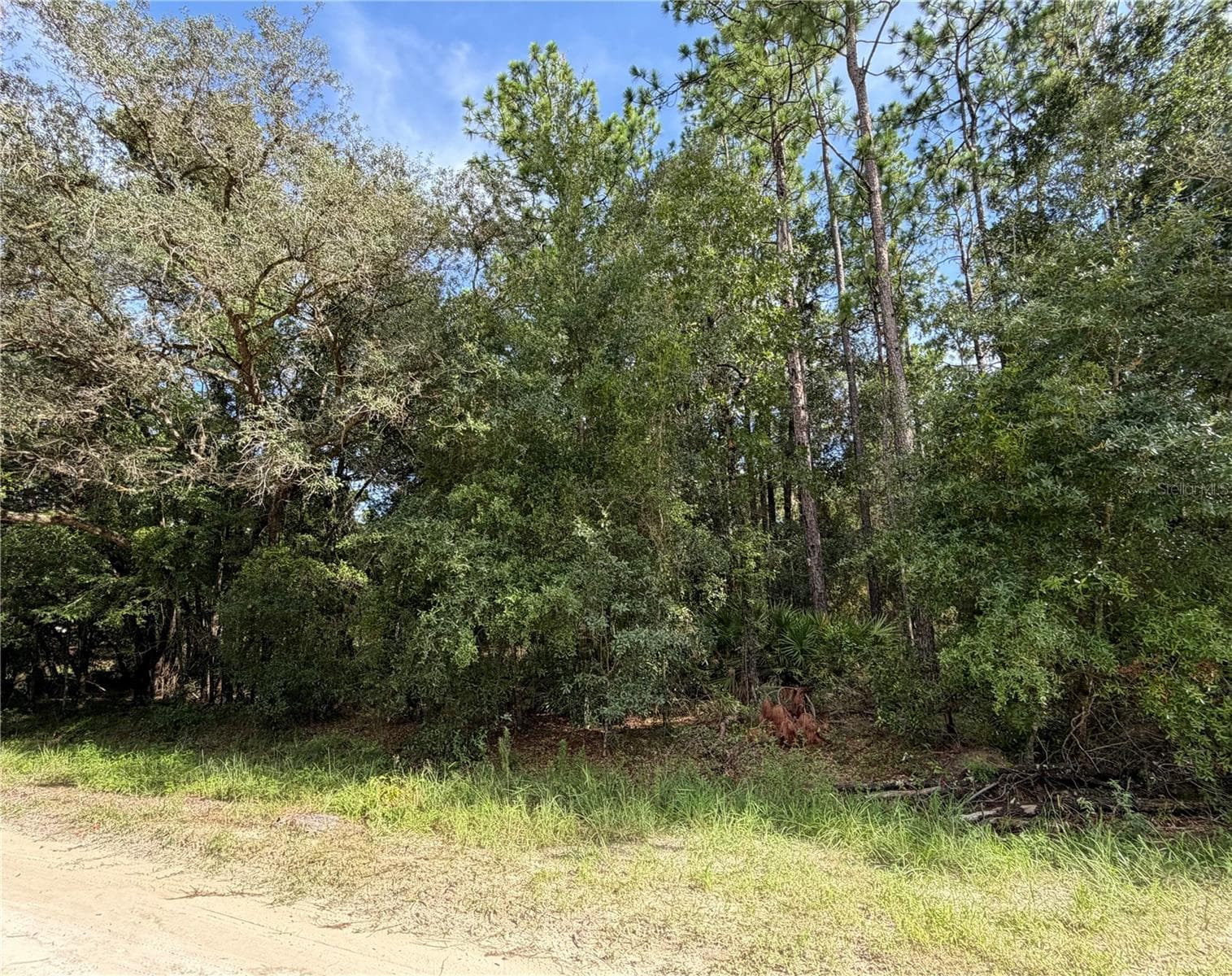 Land at 12640 SW 76TH LN, DUNNELLON, photo 6 of 8