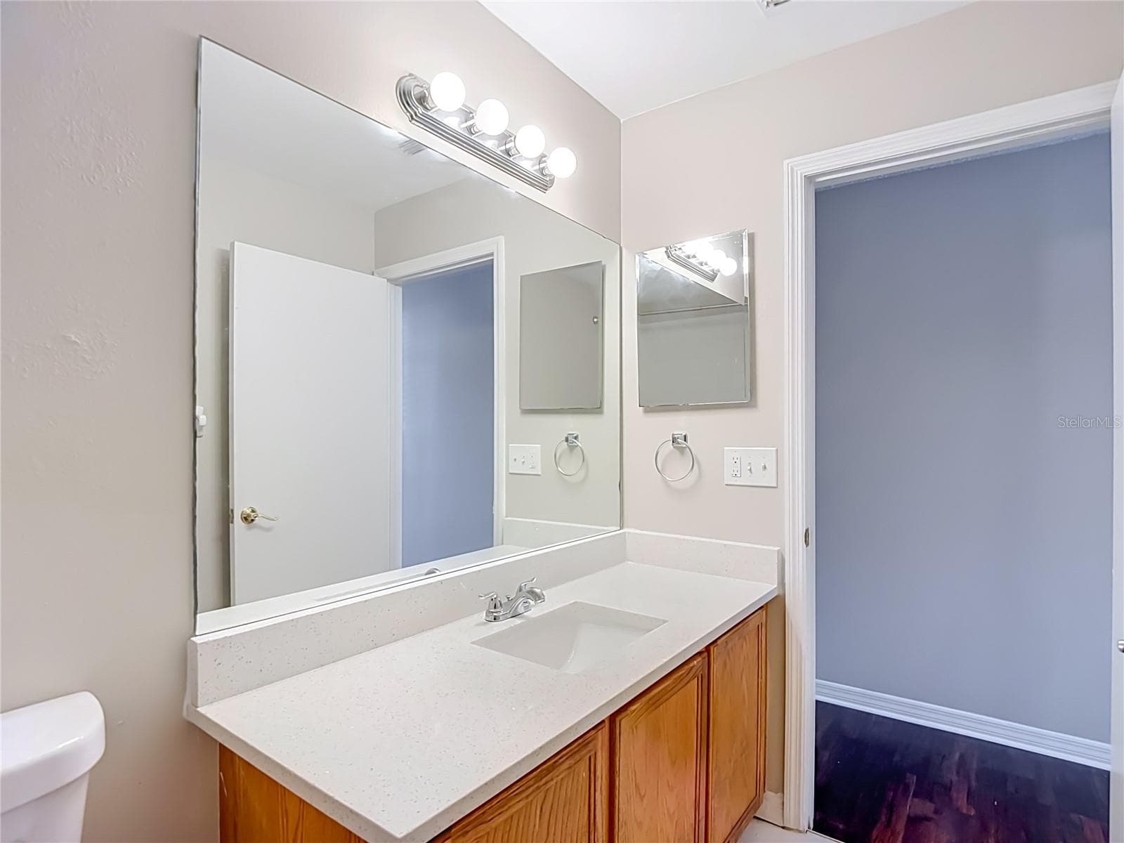 primary bath - 2245 FLUORSHIRE DR, BRANDON