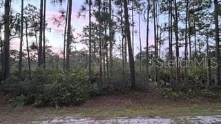 116 (BLK 62 LOT 8) CAMELLIA DR