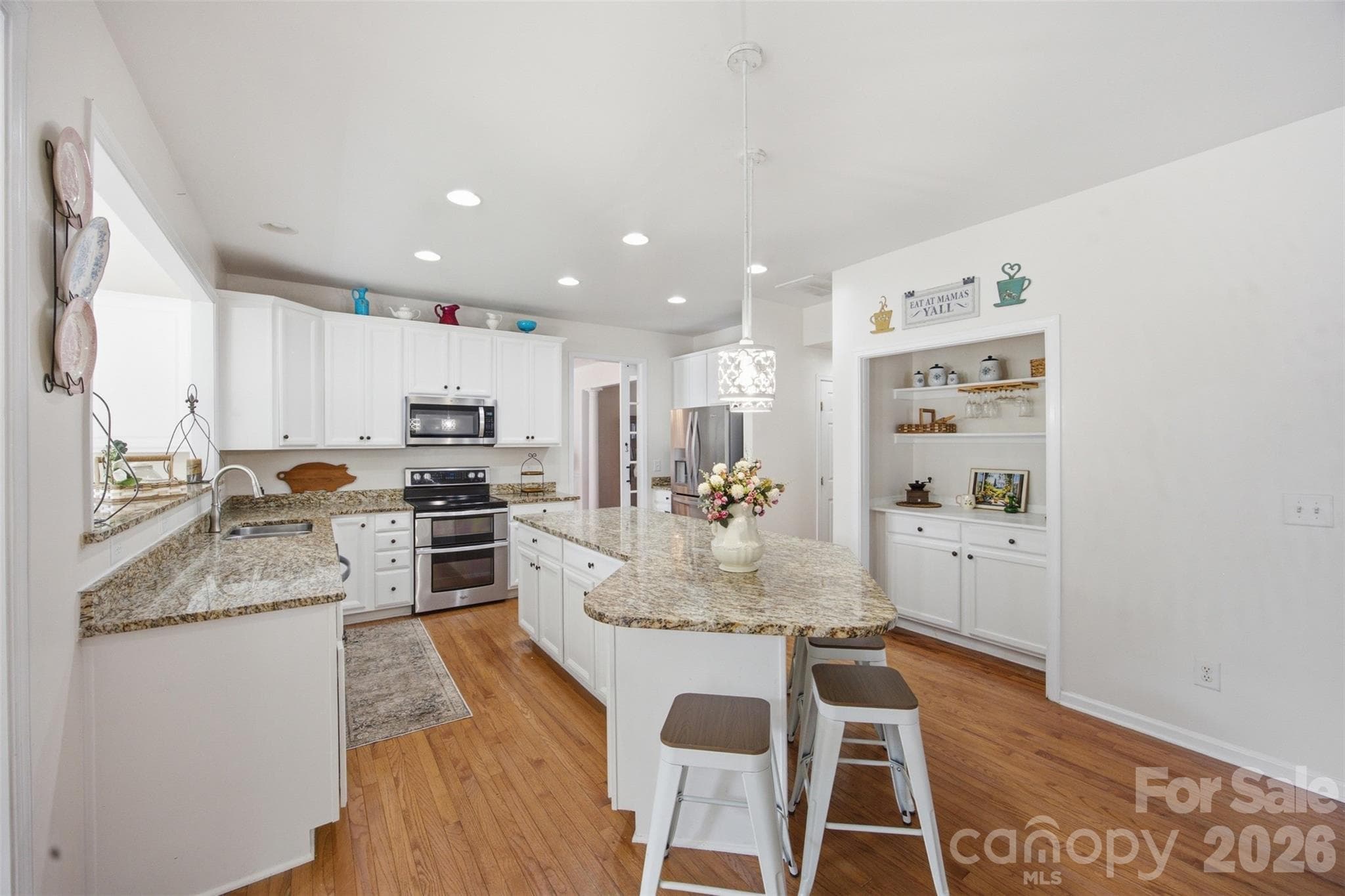 Single Family Residence at 221 Nixon Road, Belmont, photo 11 of 48