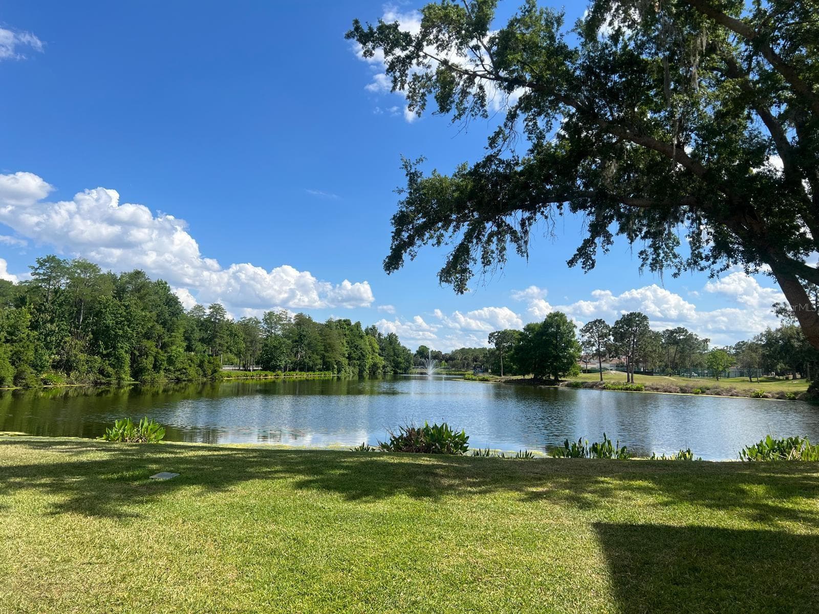 Condominium at 13560 TURTLE MARSH LOOP #338, ORLANDO, photo 17 of 19