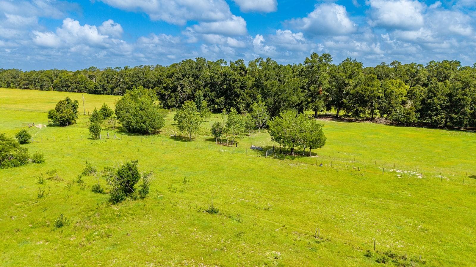 Land at 0000 NW 20TH ST, BELL, photo 11 of 11