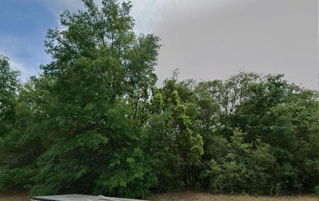 Land at 602 W ANDERSON LN, CITRUS SPRINGS, photo 2 of 6