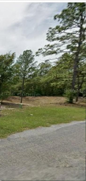 Land at 602 W ANDERSON LN, CITRUS SPRINGS, photo 3 of 6