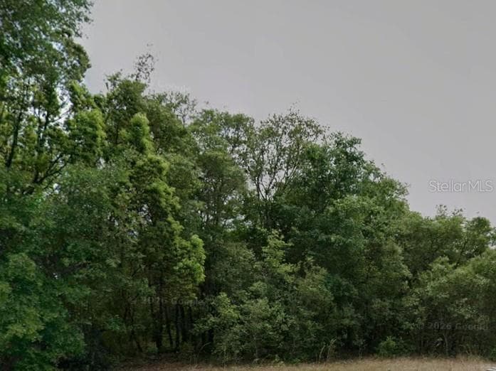 Land at 602 W ANDERSON LN, CITRUS SPRINGS, photo 5 of 6
