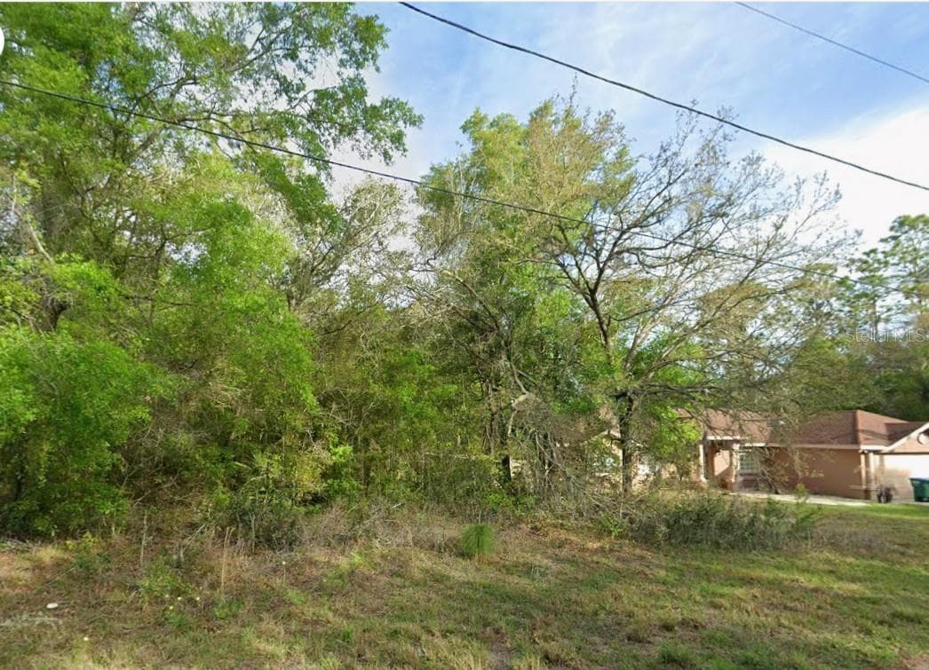 Land at 8280 N GALENA AVE, CITRUS SPRINGS, photo 2 of 6