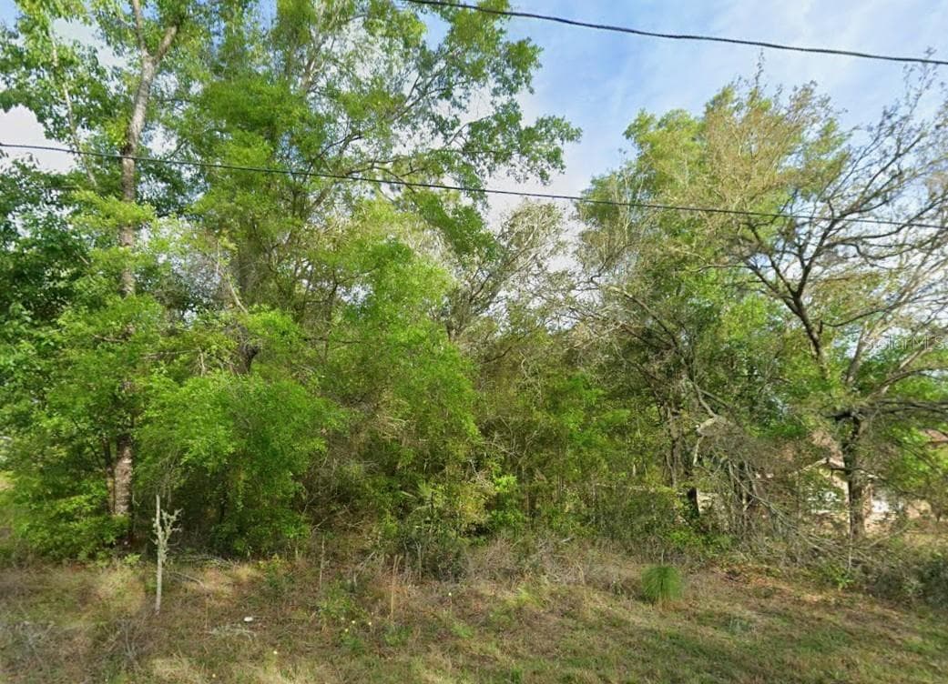 Land at 8280 N GALENA AVE, CITRUS SPRINGS, photo 3 of 6