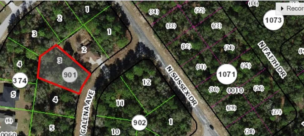 Land at 8280 N GALENA AVE, CITRUS SPRINGS, photo 4 of 6