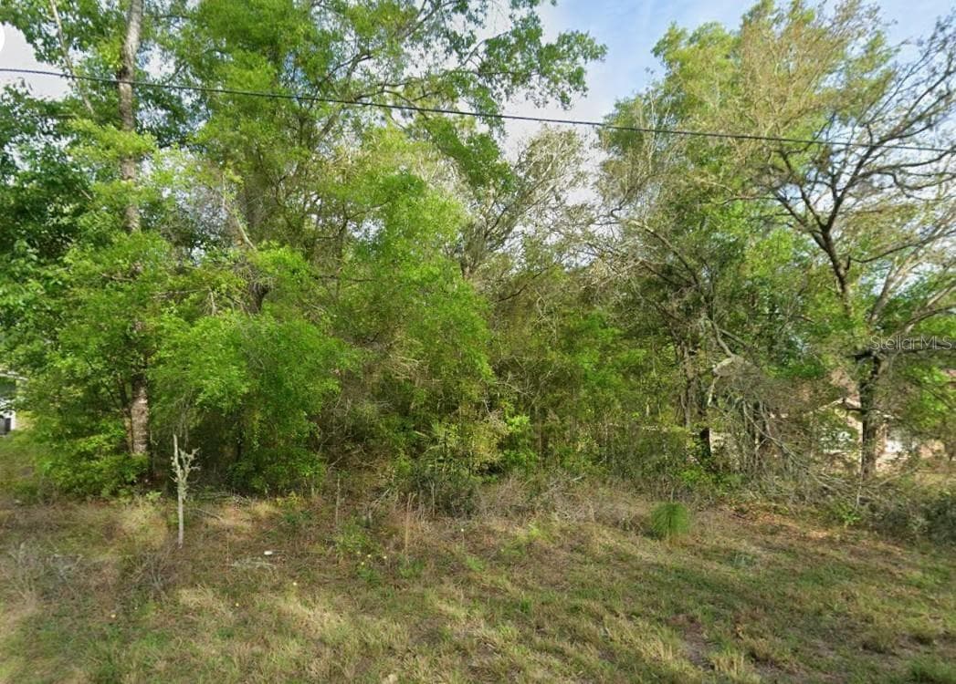 Land at 8280 N GALENA AVE, CITRUS SPRINGS, photo 5 of 6