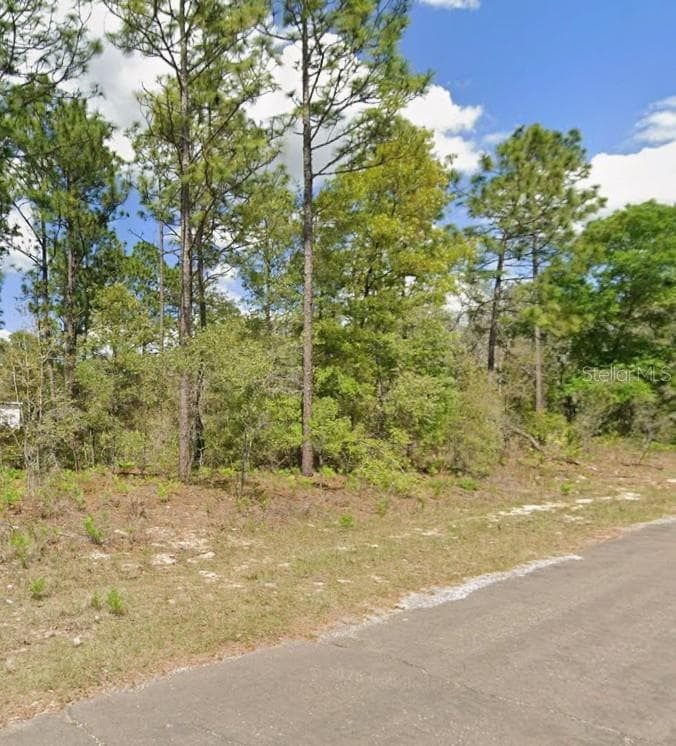 Land at 2193 W GALAXY LN, CITRUS SPRINGS, photo 4 of 5