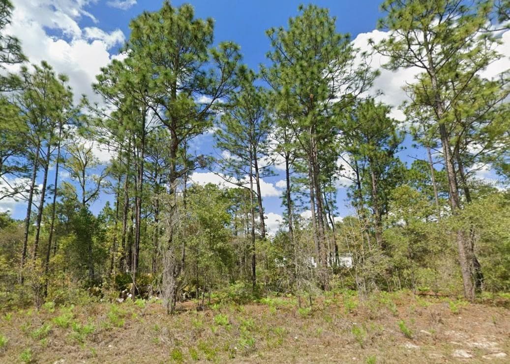 Land at 2175 W GALAXY LN, CITRUS SPRINGS, photo 2 of 5