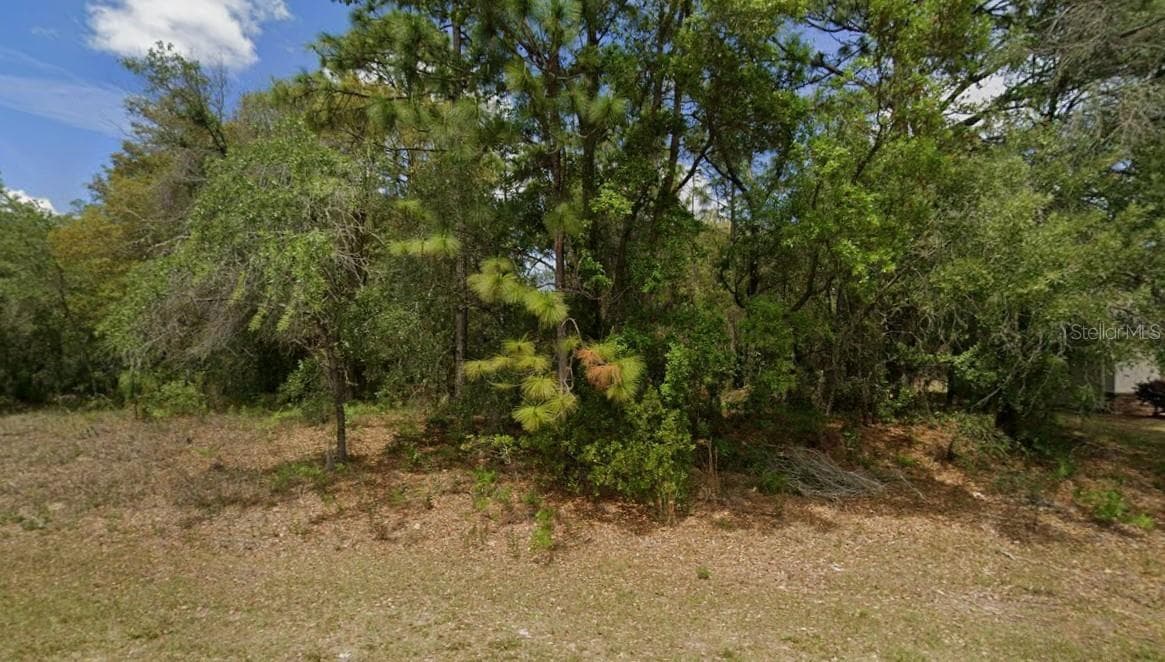 Land at 1895 W HAMPSHIRE BLVD, CITRUS SPRINGS, photo 4 of 4