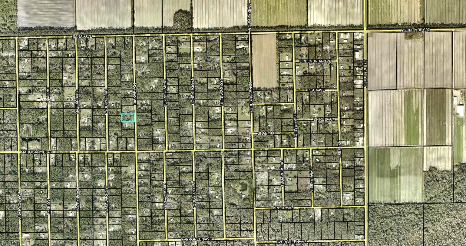 Land at 1396 HICKORY ST, BUNNELL, photo 2 of 3