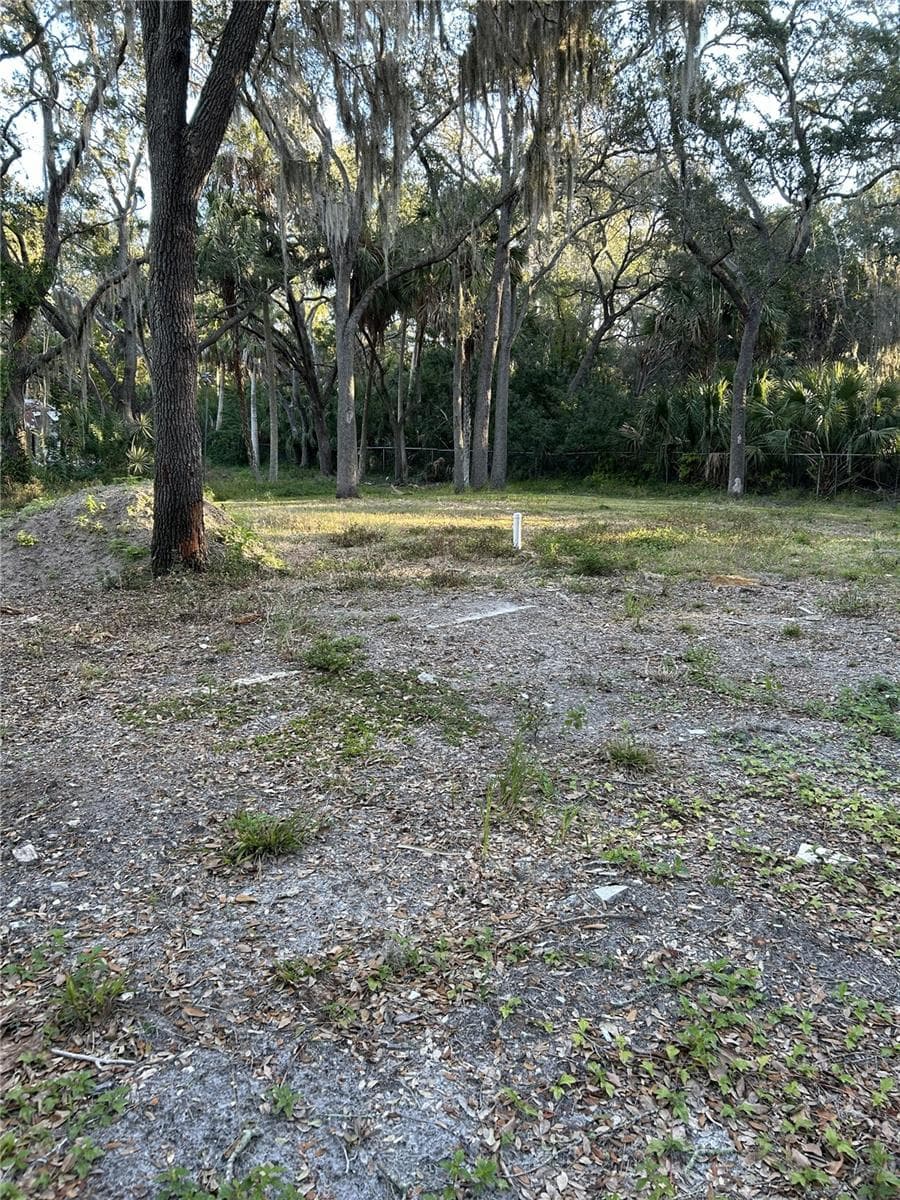 Land at 14428 GUAVA ST, HUDSON, photo 12 of 21