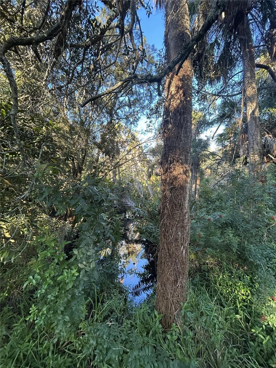 Land at 14428 GUAVA ST, HUDSON, photo 13 of 21