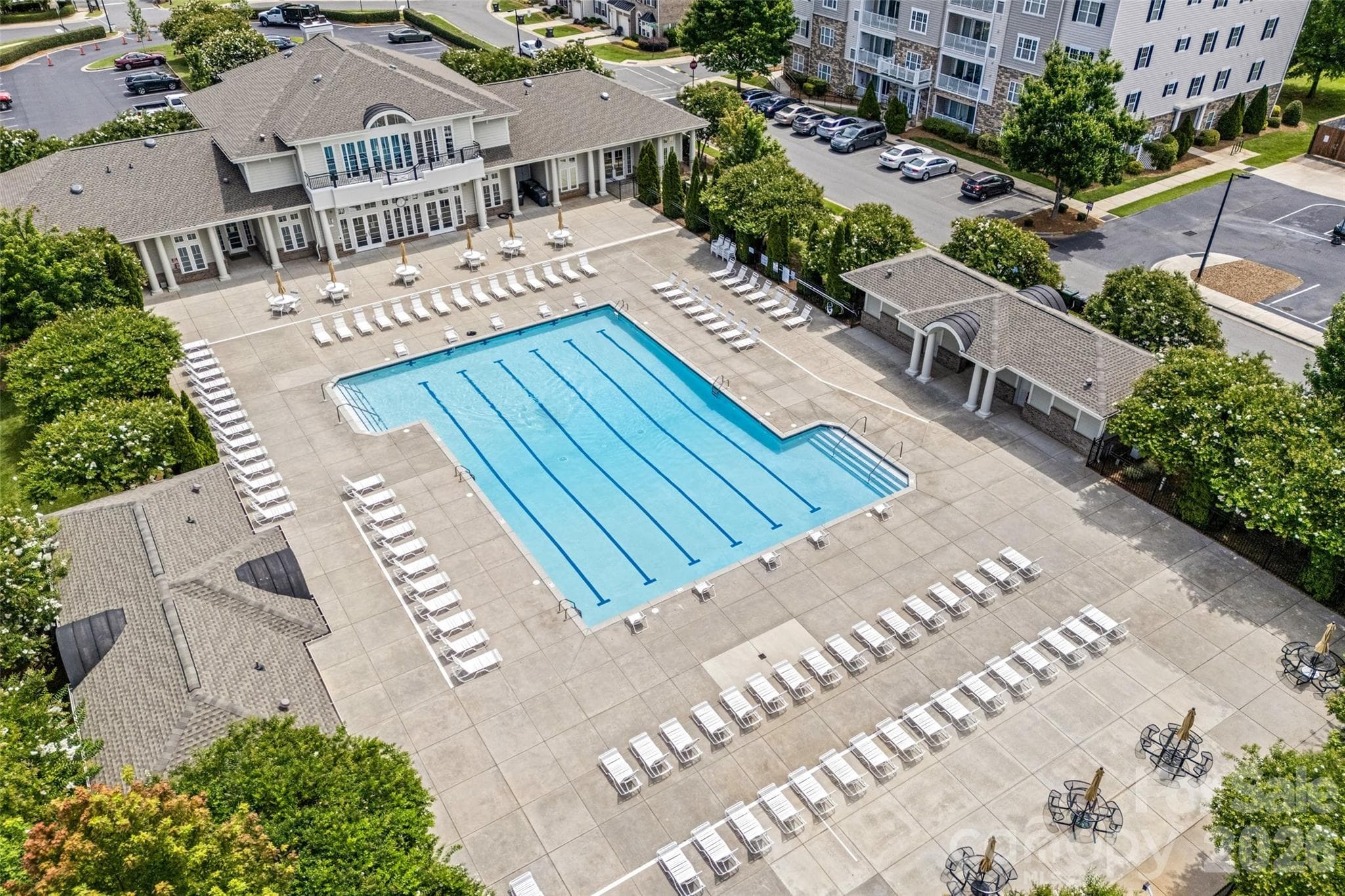 Olympic Size Pool - 2447 Diplomat Lane, Charlotte