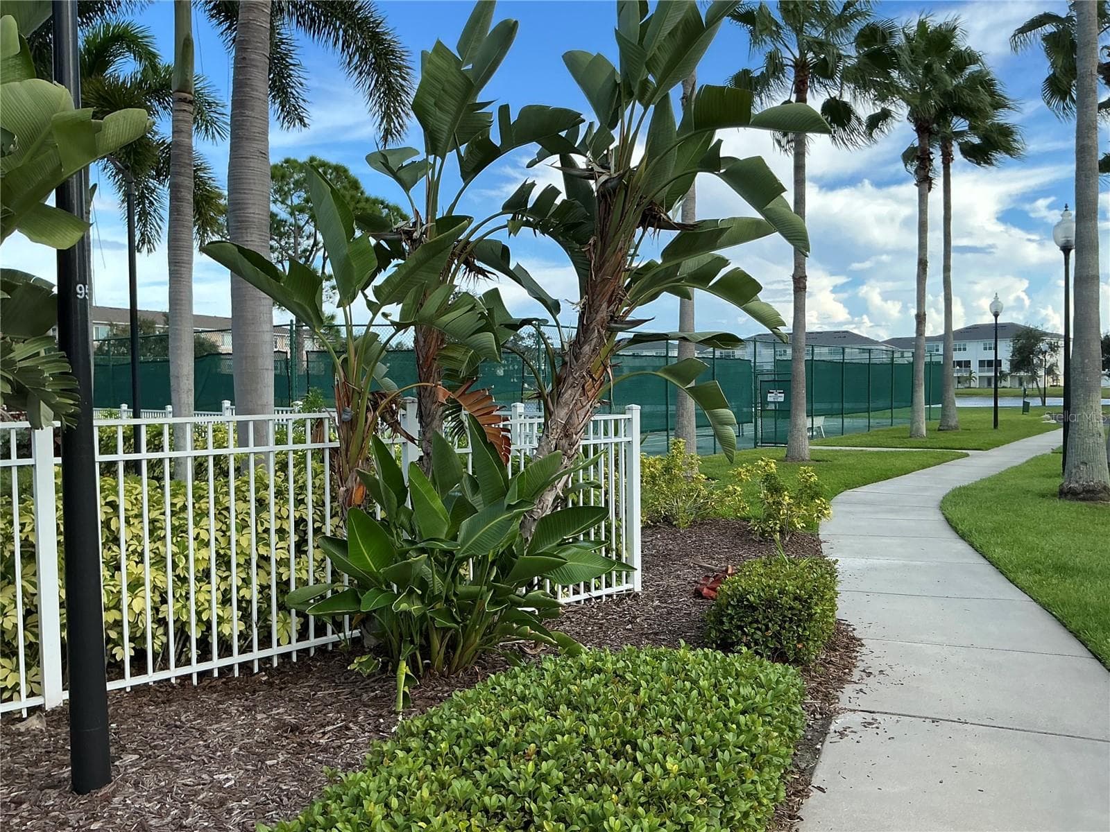 Townhouse at 7059 ISLAMORADA CIR, SEMINOLE, photo 37 of 56