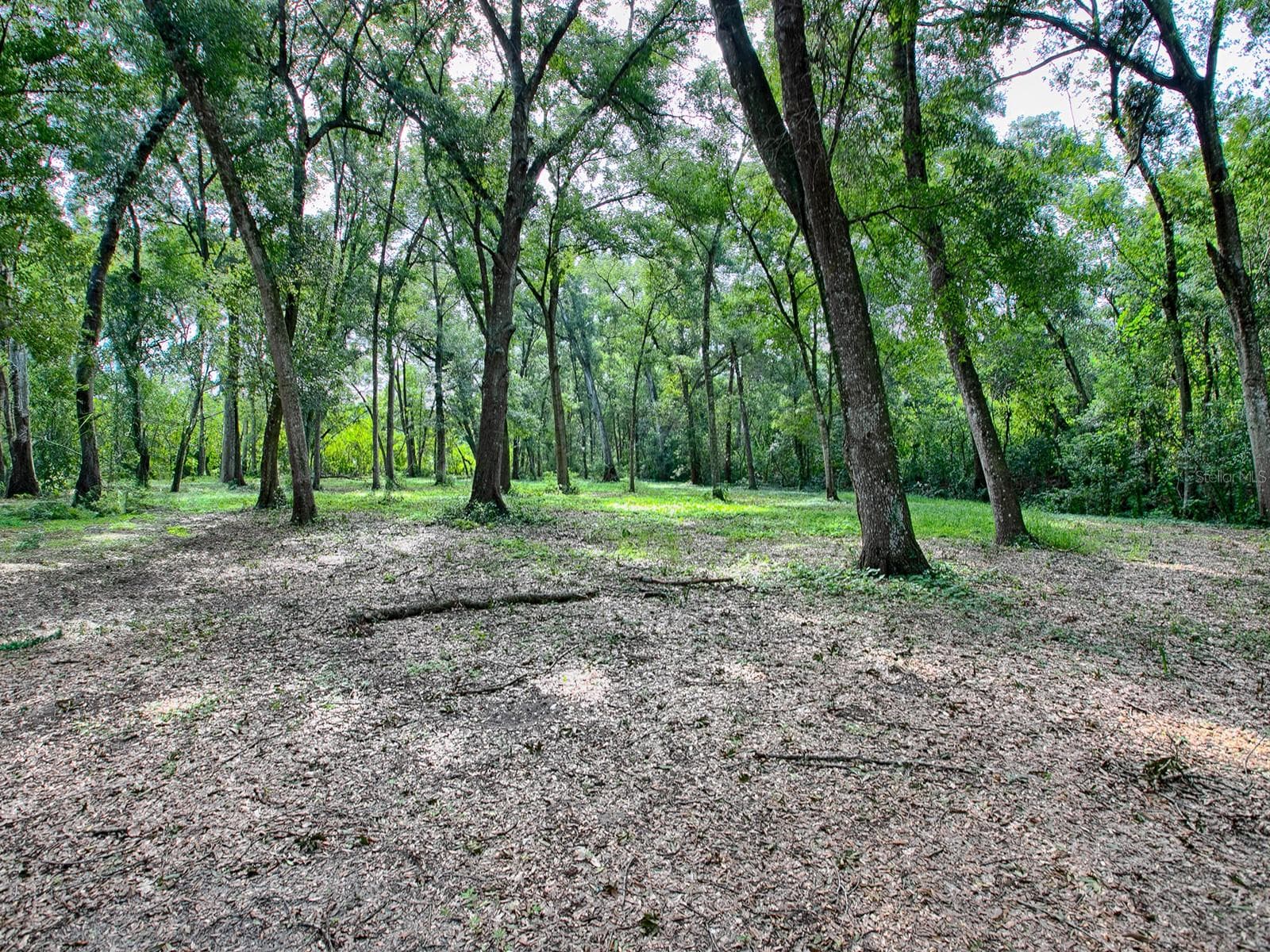 Land at 4905 PLYMOUTH SORRENTO RD, APOPKA, photo 10 of 14