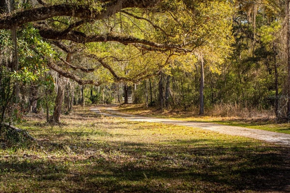 Land at 957 NE 354TH AVE, OLD TOWN, photo 14 of 17