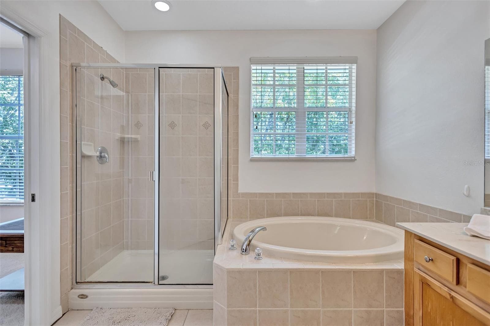 Townhouse at 14511 MIRABELLE VISTA CIR, TAMPA, photo 24 of 46