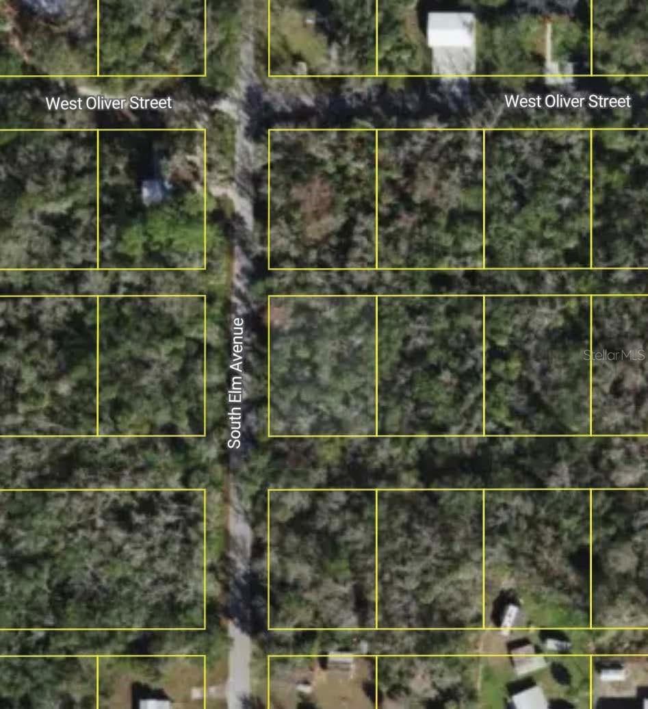 Land at 10243 W PALMETTO ST, HOMOSASSA, photo 2 of 2