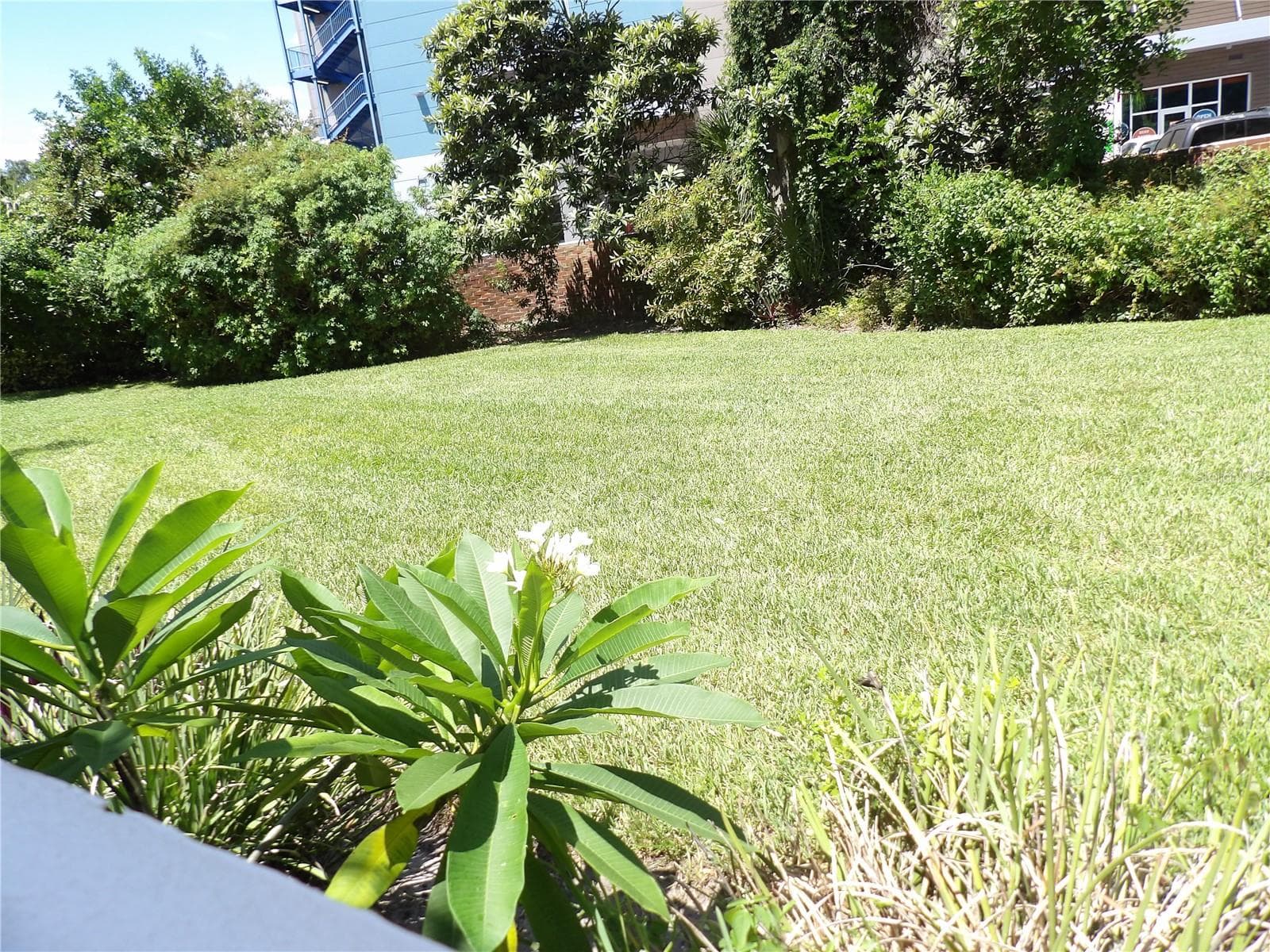 Condominium at 2623 SEVILLE BLVD #111, CLEARWATER, photo 19 of 31