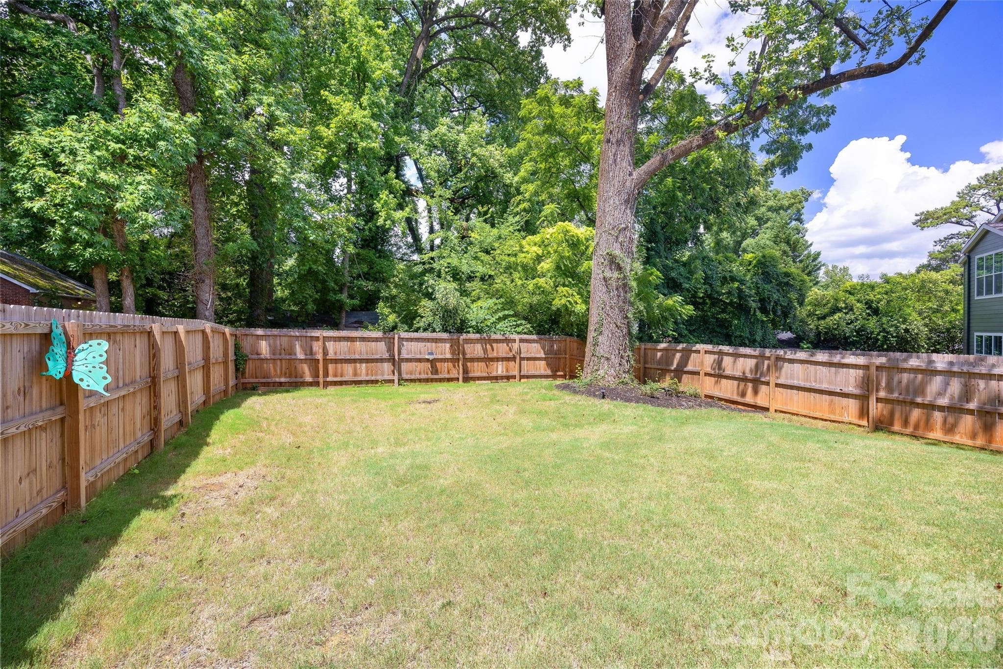 Fenced in backyard - 812 State Street, Charlotte