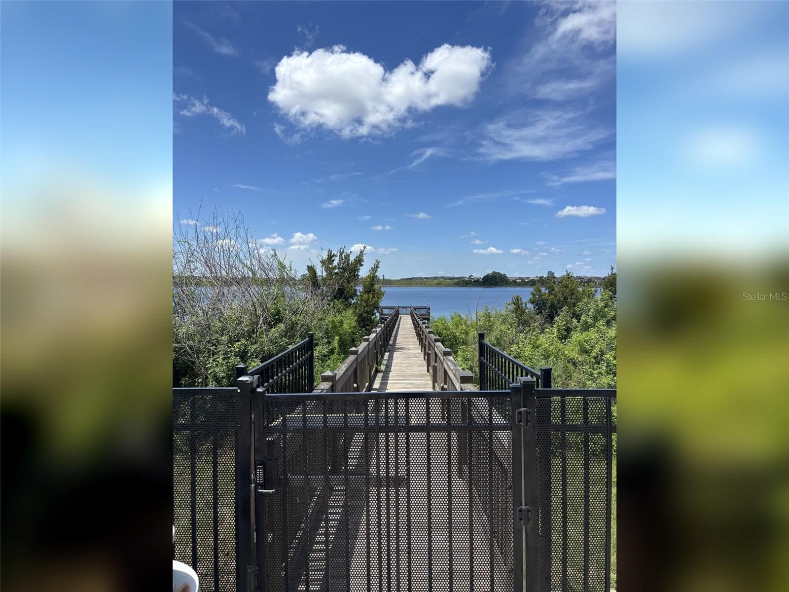 14048 Larkspur Lake Dr - Community dock providing access to Huckleberry Lake. - 14048 LARKSPUR LAKE DR, WINTER GARDEN