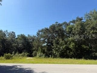 Land at TBD SE 59TH PLACE, OCKLAWAHA, photo 3 of 7