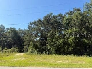 Land at TBD SE 59TH PLACE, OCKLAWAHA, photo 4 of 7