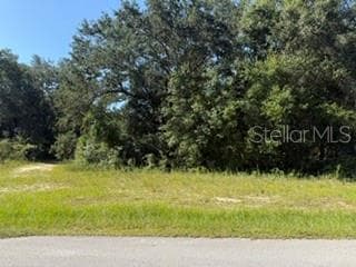 Land at TBD SE 59TH PLACE, OCKLAWAHA, photo 5 of 7
