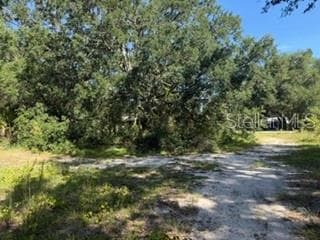 Land at TBD SE 59TH PLACE, OCKLAWAHA, photo 6 of 7