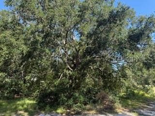 Land at TBD SE 59TH PLACE, OCKLAWAHA, photo 7 of 7