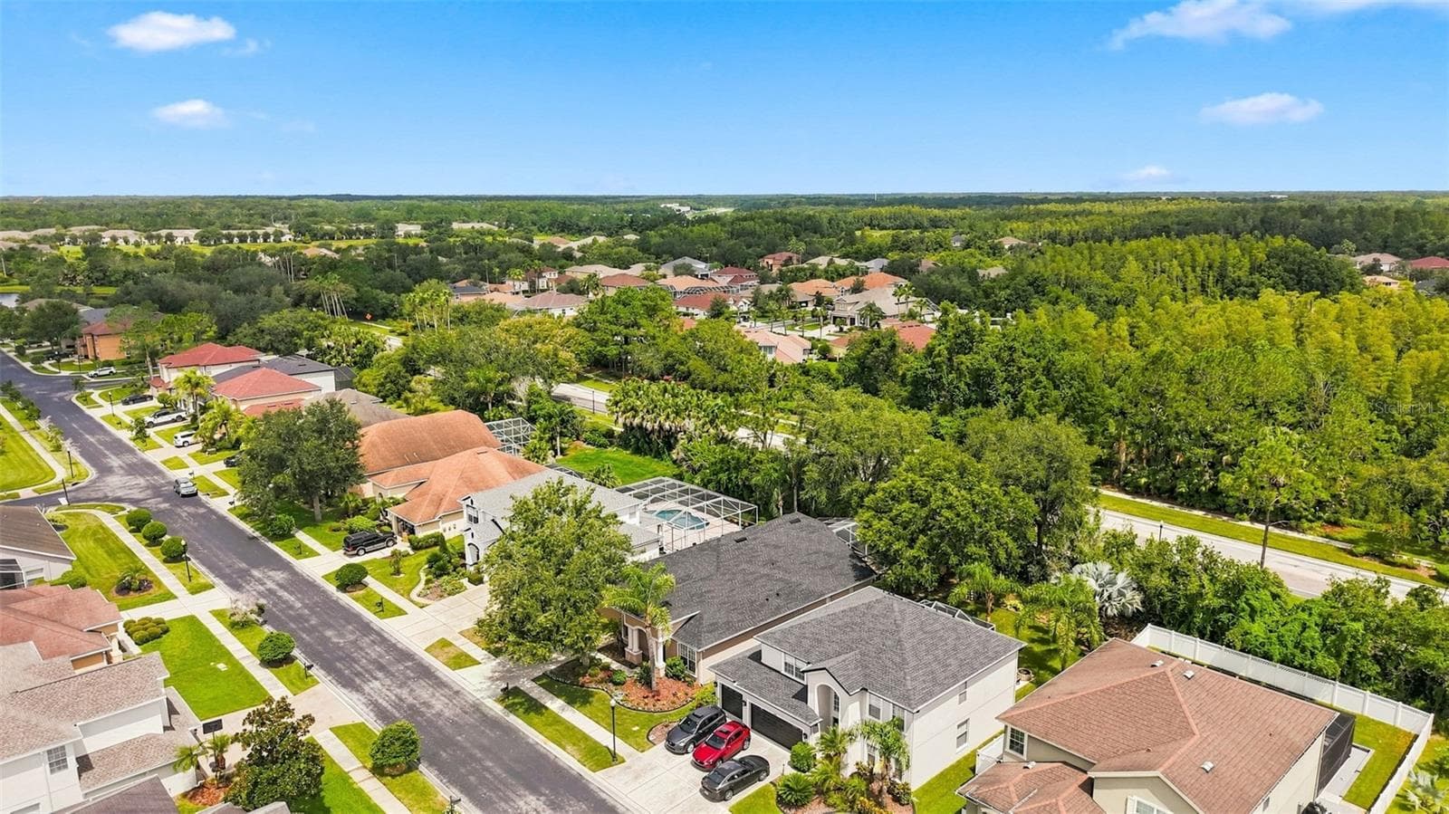 Single Family Residence at 27417 SILVER THATCH DR, WESLEY CHAPEL, photo 50 of 86
