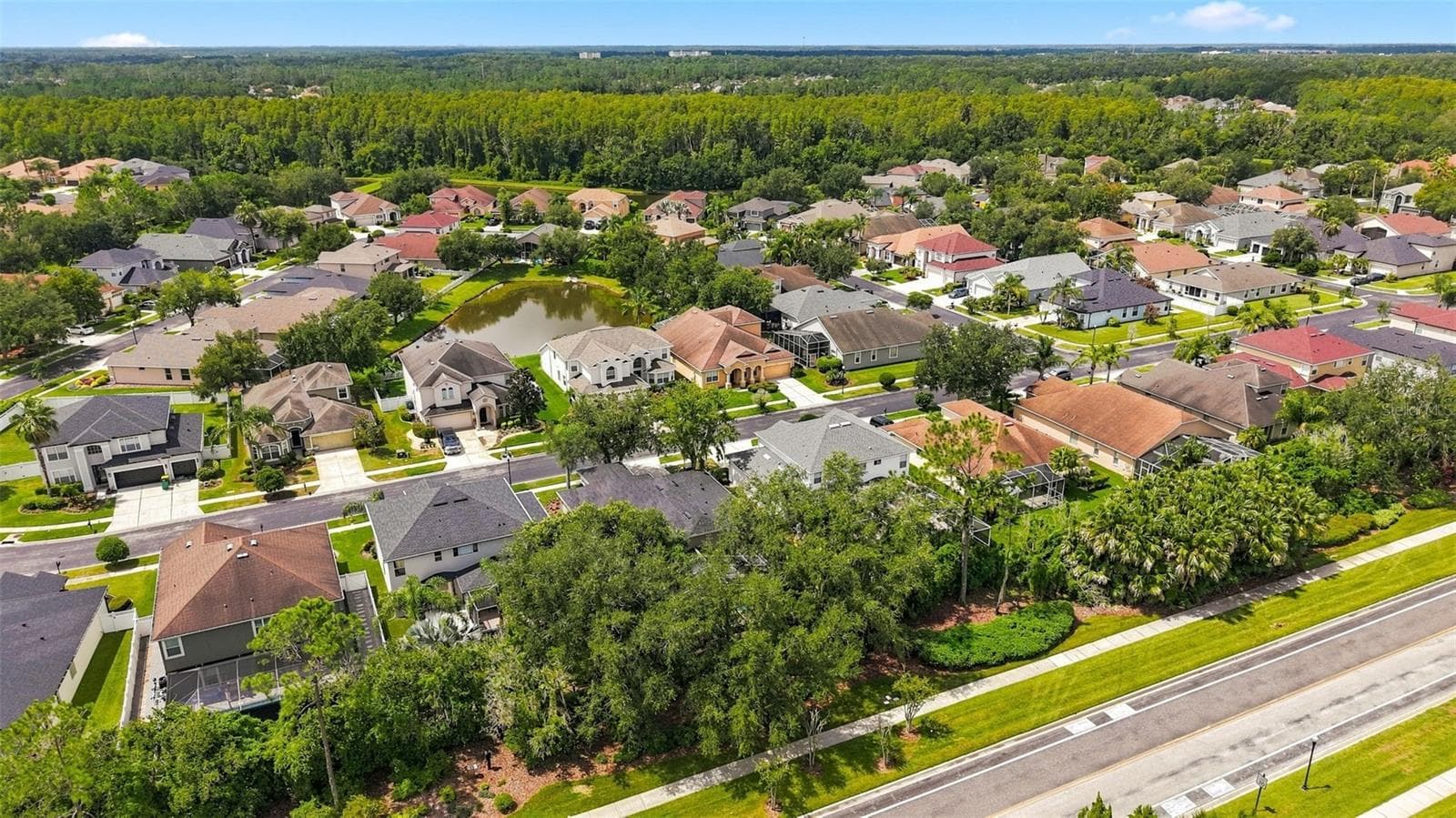 Single Family Residence at 27417 SILVER THATCH DR, WESLEY CHAPEL, photo 54 of 86