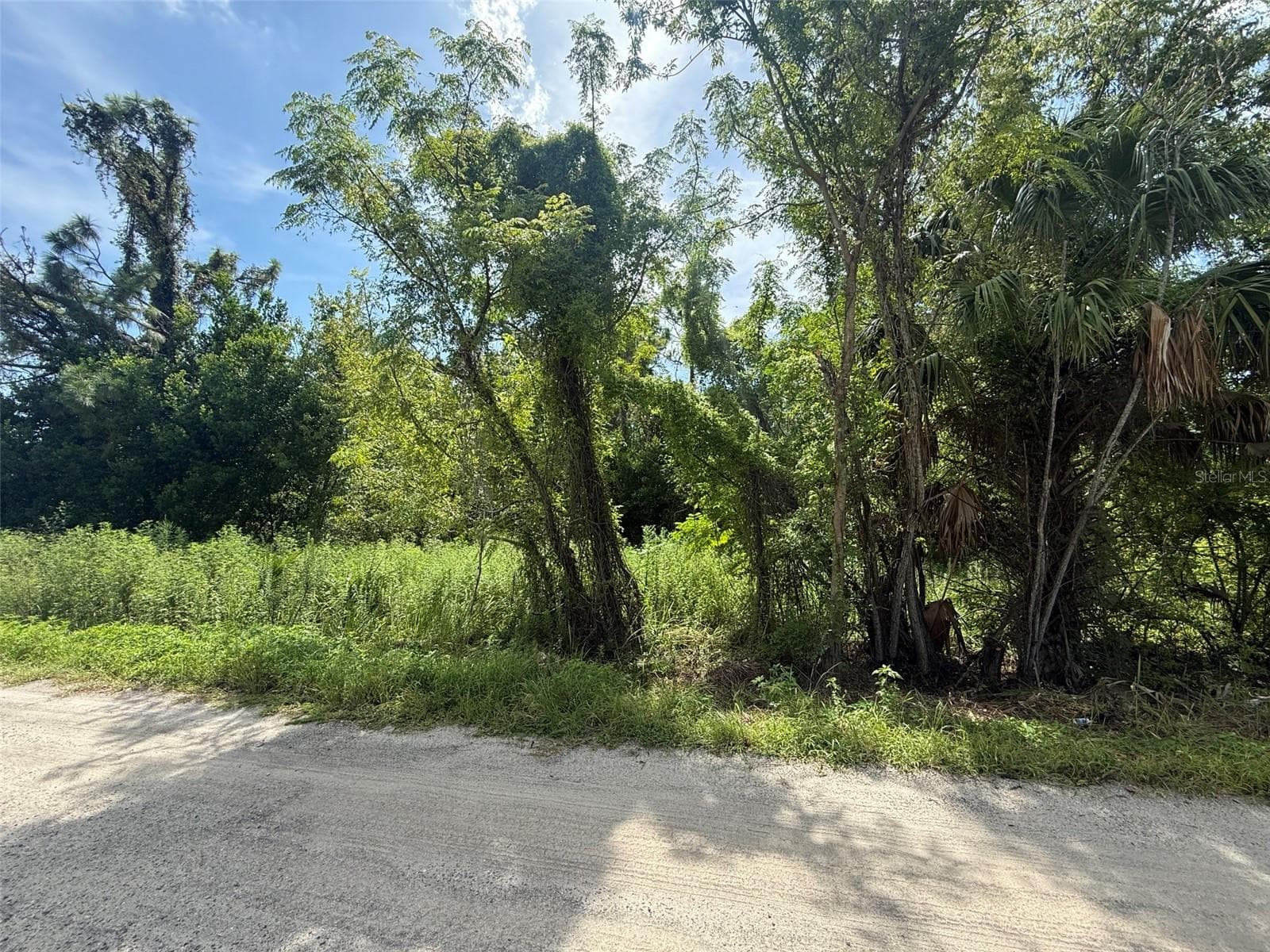 STAR ROAD - 0.90 ACRES VACANT LAND - STAR RD, BROOKSVILLE