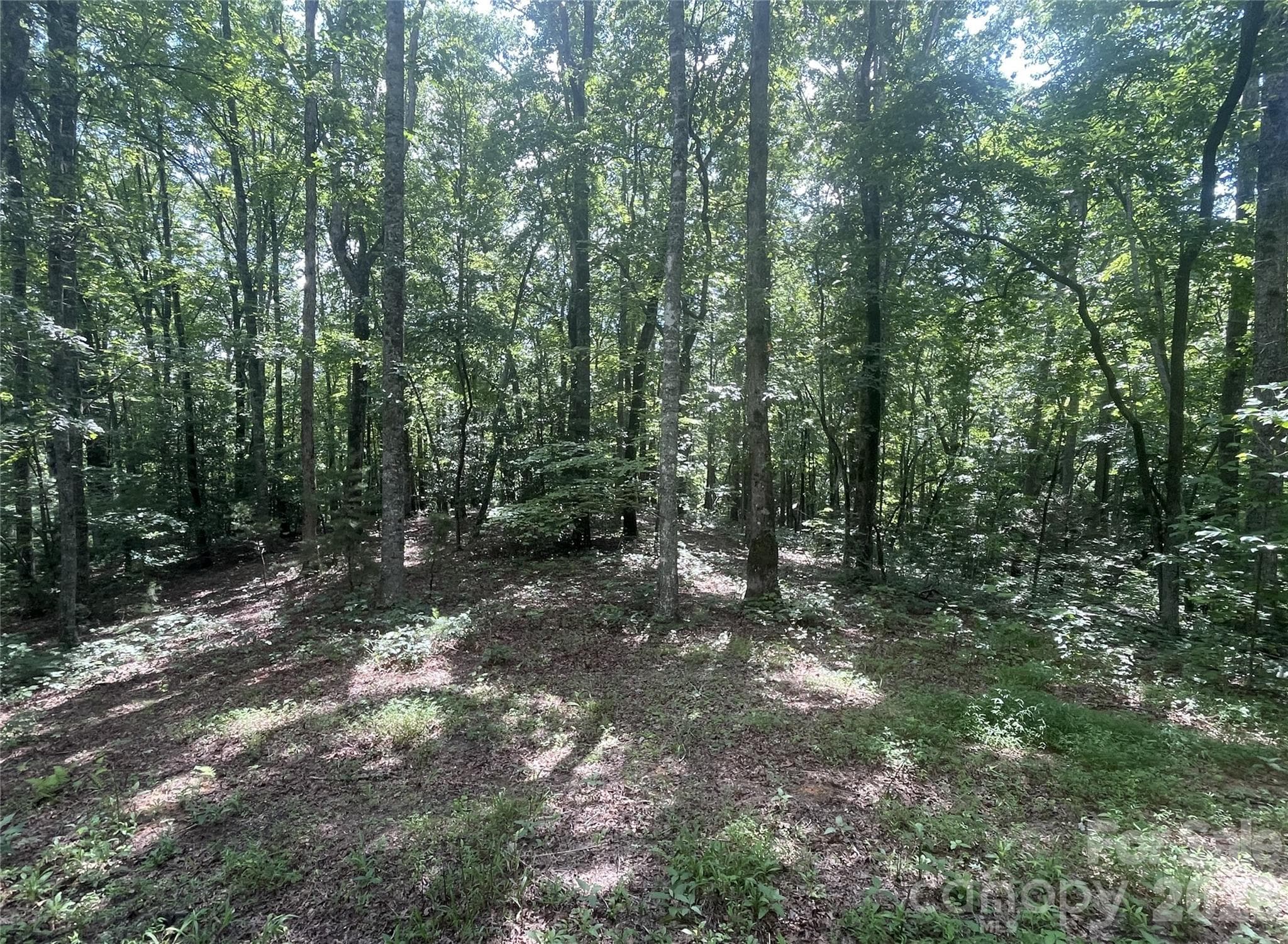 2060 US 19 Highway S
