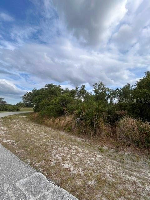 Land at 8395 SW AVIARY RD, ARCADIA, photo 4 of 4