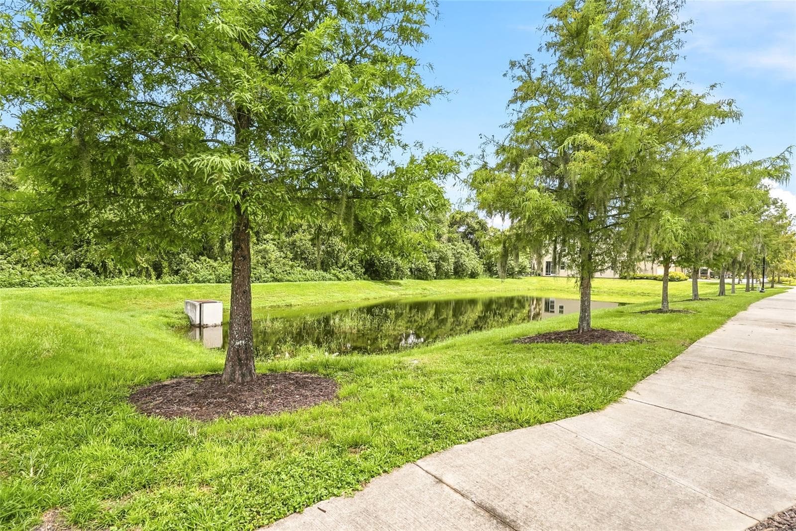 Townhouse at 13105 CANOPY CREEK DR, TAMPA, photo 44 of 46