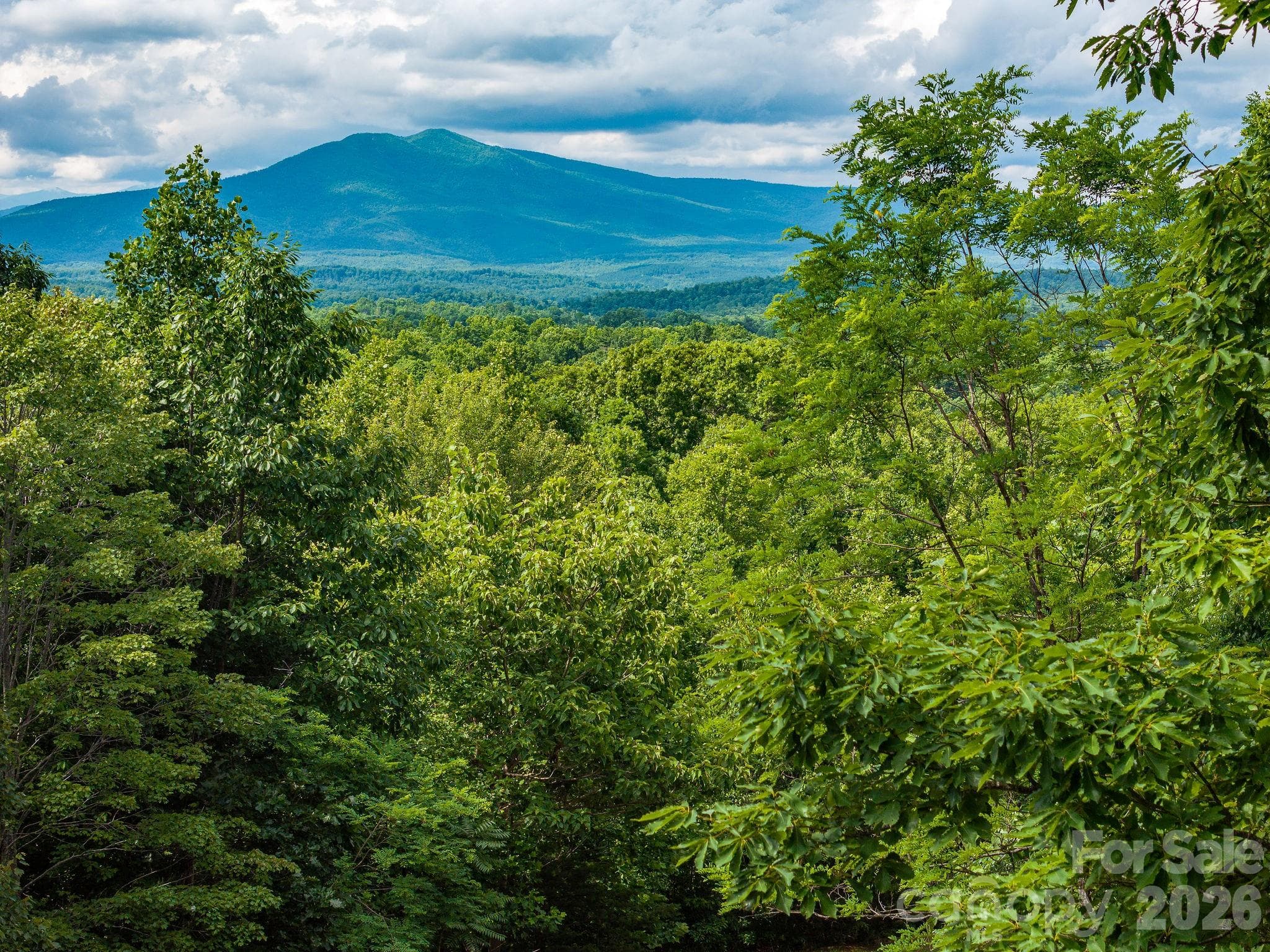 Lot at 155 Big View Drive, Marion, photo 5 of 19