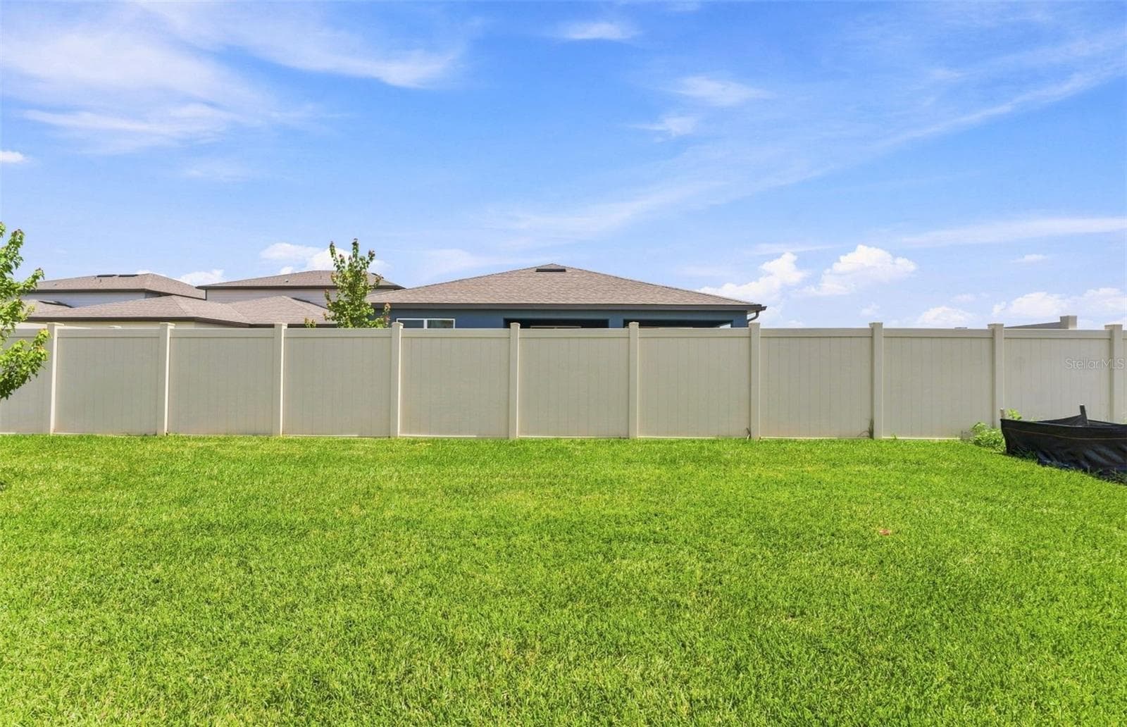 Spacious Backyard w/Rear Privacy - 33335 HERDS HALLOW WAY, WESLEY CHAPEL