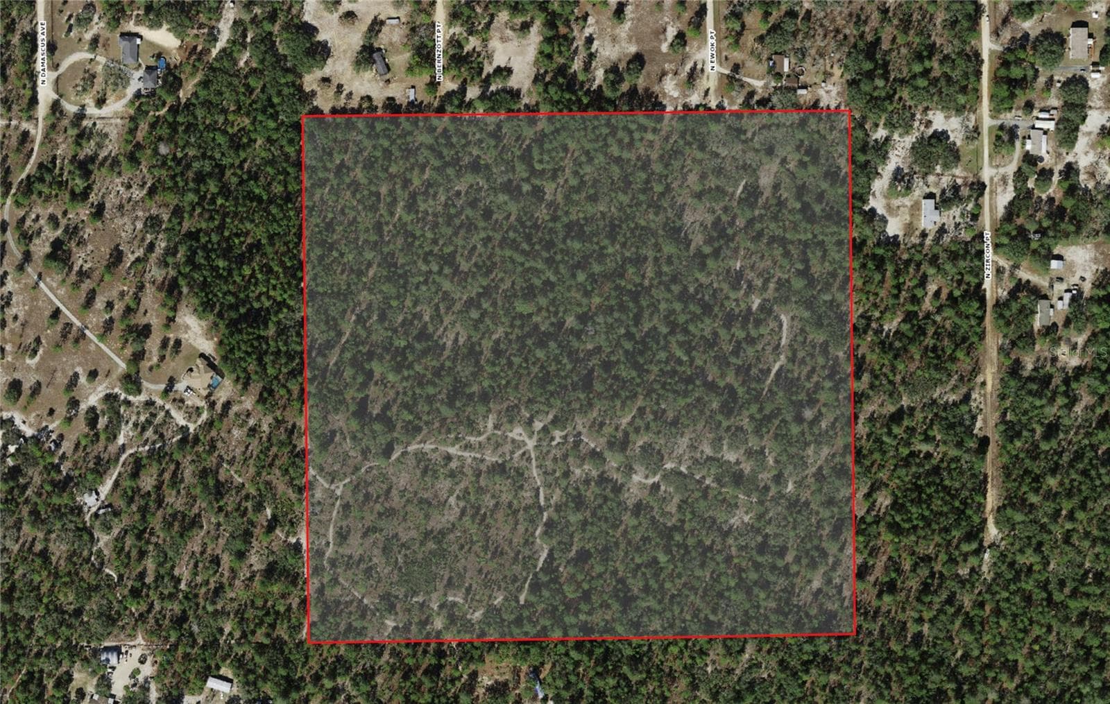 Land at 6496 N BERNZOTT PT, DUNNELLON, photo 3 of 6