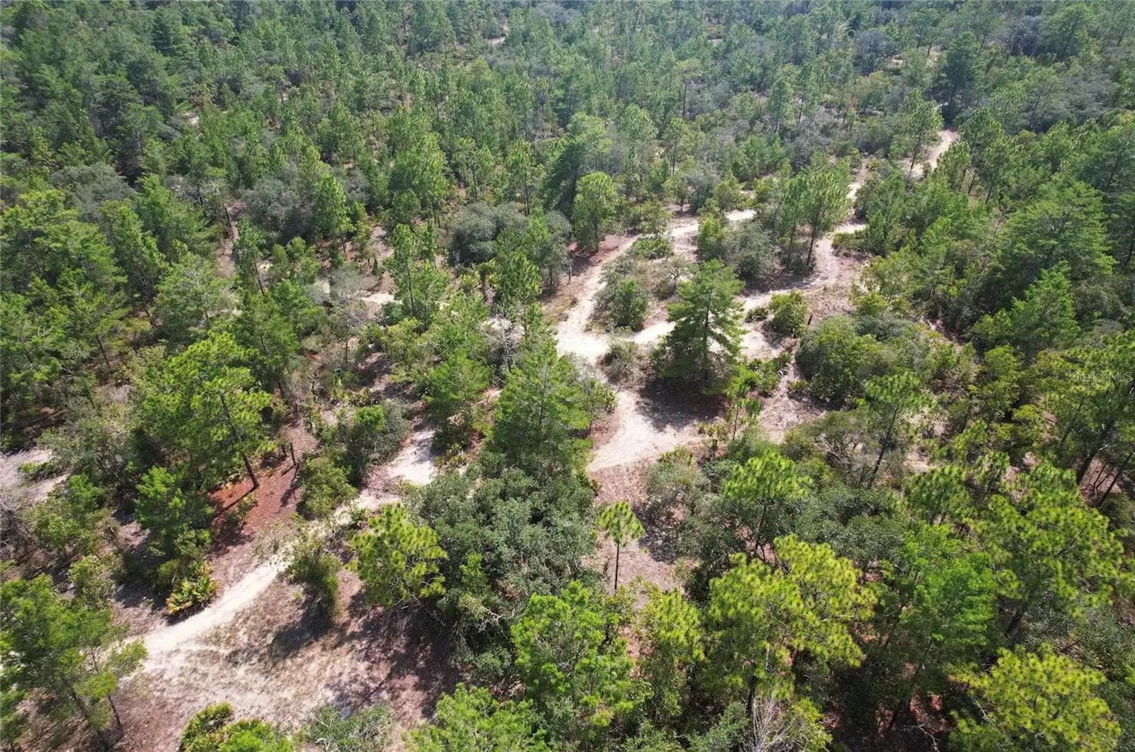 Land at 6496 N BERNZOTT PT, DUNNELLON, photo 5 of 6