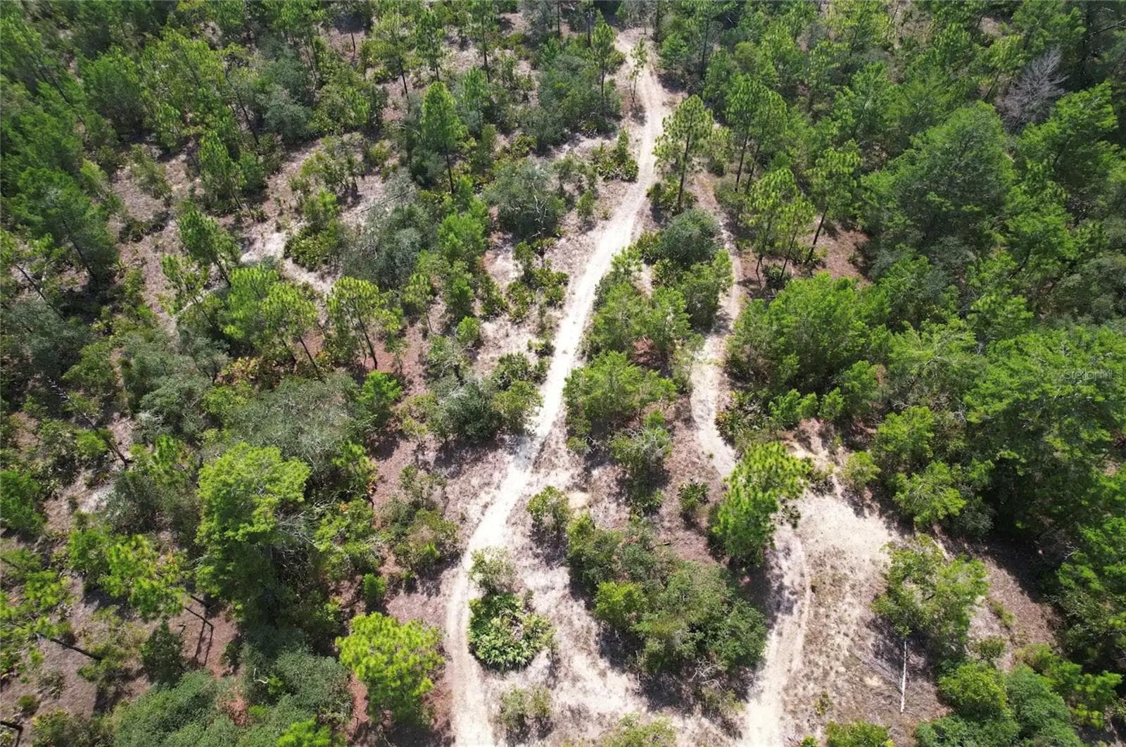 Land at 6496 N BERNZOTT PT, DUNNELLON, photo 6 of 6