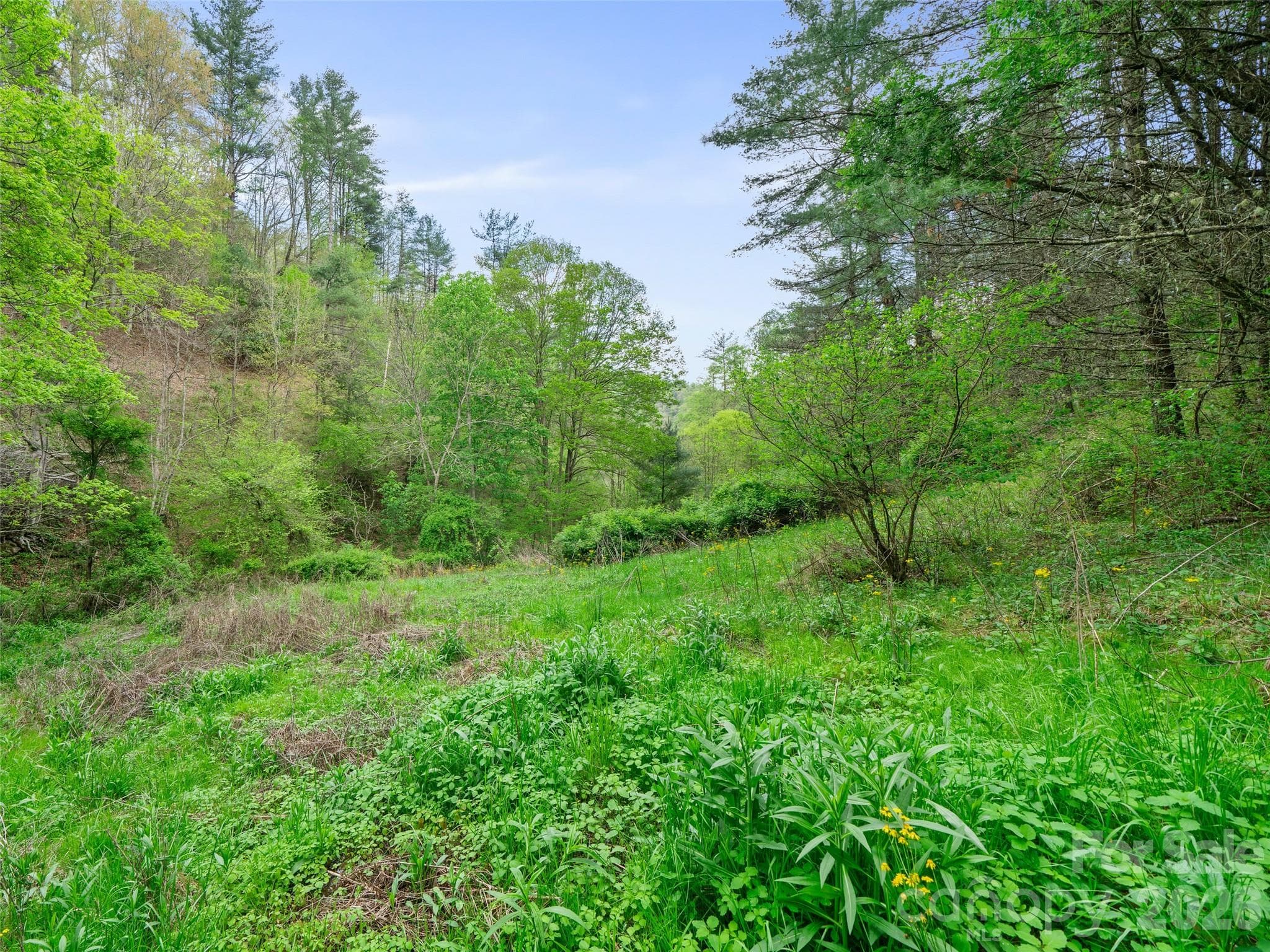 Acreage at 0 Fire Scald Road, Green Mountain, photo 2 of 30