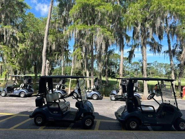 5 minutes to Pine Lakes Golf Course - 17 WHITE HAVEN LN, PALM COAST