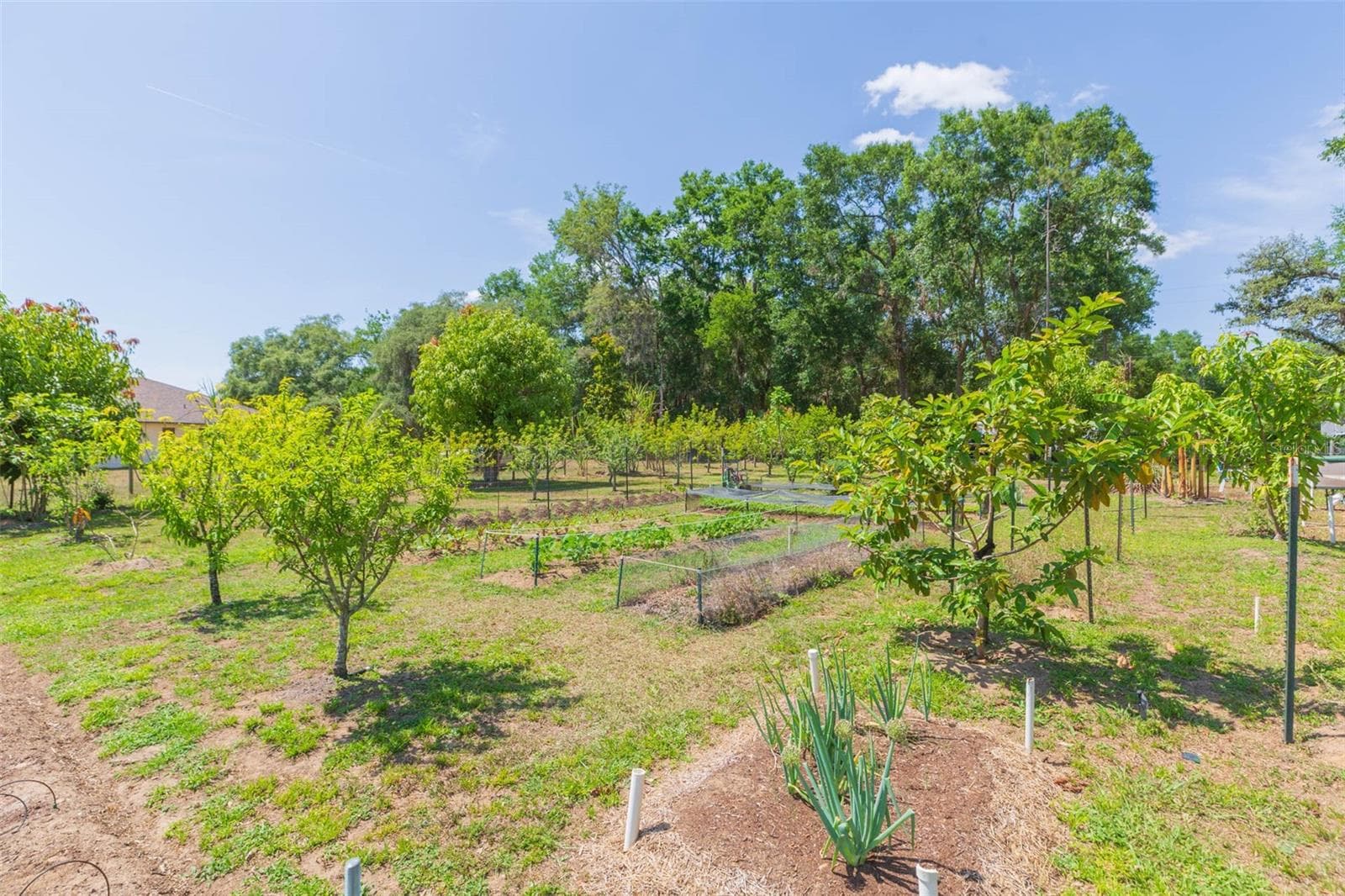 Single Family Residence at 34211 BLANTON RD, DADE CITY, photo 64 of 100