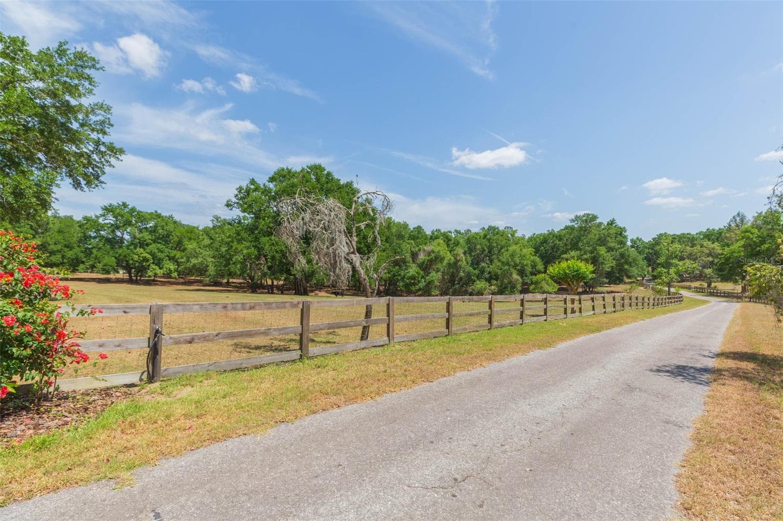 Single Family Residence at 34211 BLANTON RD, DADE CITY, photo 74 of 100