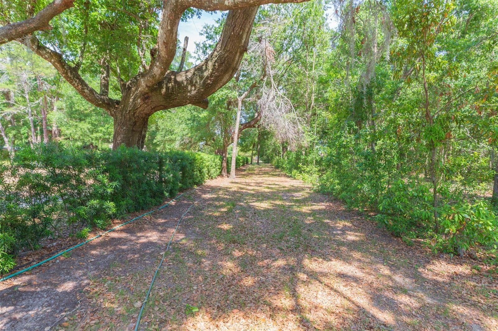Single Family Residence at 34211 BLANTON RD, DADE CITY, photo 78 of 100