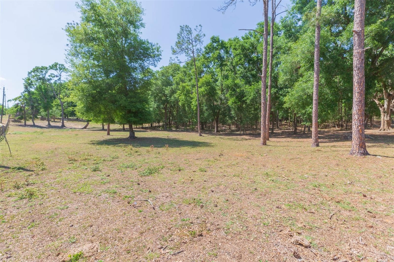 Single Family Residence at 34211 BLANTON RD, DADE CITY, photo 81 of 100